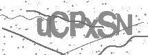 Captcha text