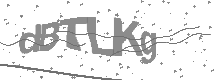 Captcha text