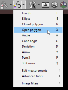 Radiant-Dicom-Viewer-Open-Polygon-Menu