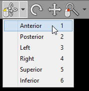 RadiAnt_DICOM_Viewer_3D_Volume_Rendering_3DRotation_Presets