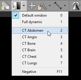 RadiAnt_DICOM_Viewer_Adjust_Window_DropDownMenu