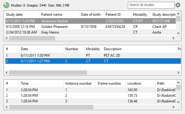 RadiAnt-DICOM-Viewer-Local-Archive-View-Images