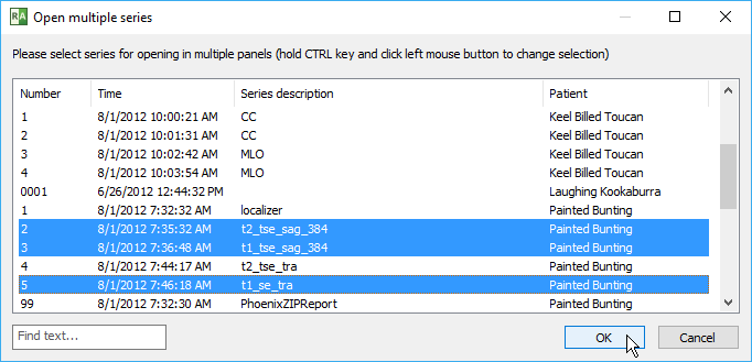 RadiAnt_DICOM_Viewer_Multiple_Series_Window